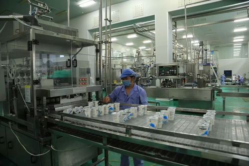 庫爾勒經濟技術開發區獲評自治區級綠色園區示范